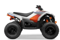 CFMoto – CForce EV110