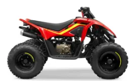 CFMoto – CForce 110